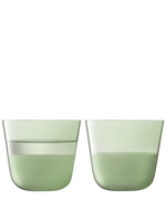 Tumblers 260ml Arc Contrast MOSS (Set of 2)- LSA