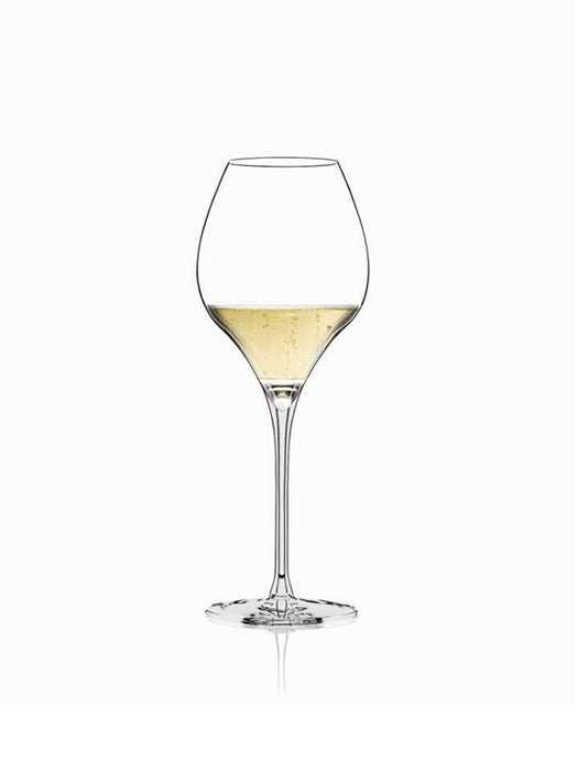 Masterclass 42 Xtreme Champagne Glass - Italesse 