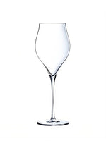 Champagne Glass Exaltation - Chef & Sommelier
