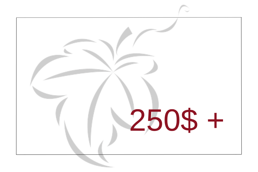 Idées-cadeaux (250$ et plus)