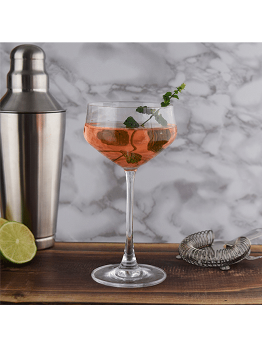 6 Dolcetto Coupes Cocktail