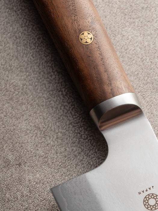 Gyuto knife Pro Series - Hazaki