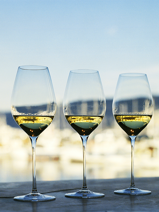 Verre à vin blanc Masterclass 48 Xtreme- Italesse