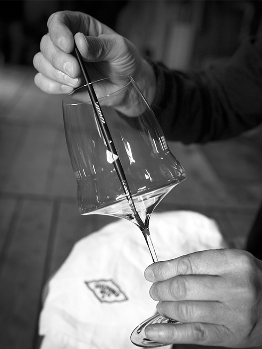 Care Set - Linen Cloth and Brush - Josephinen Hutte