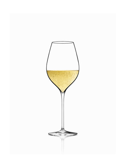 Masterclass 28 Xtreme Champagne Glass - Italesse