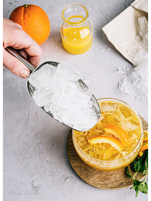 Stainless Steel Ice Scoop- Final Touch