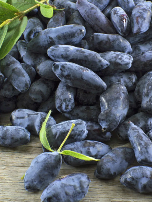 Haskap Syrup - Gourmet Sauvage