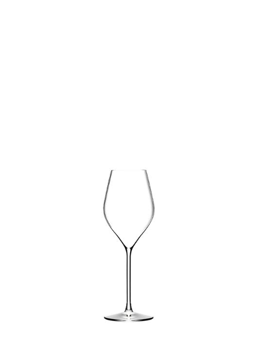 Absolus Champagne Glass (200 ml) - LEHMANN