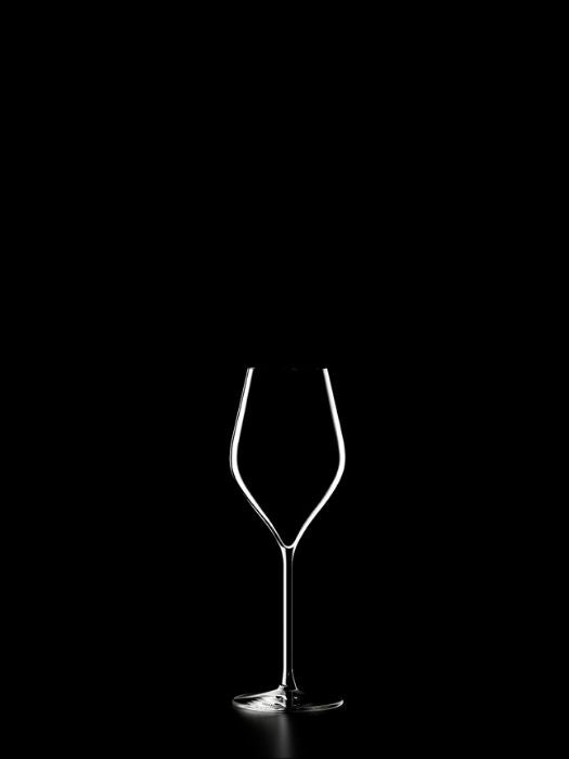 Absolus Champagne Glass (200 ml) - LEHMANN