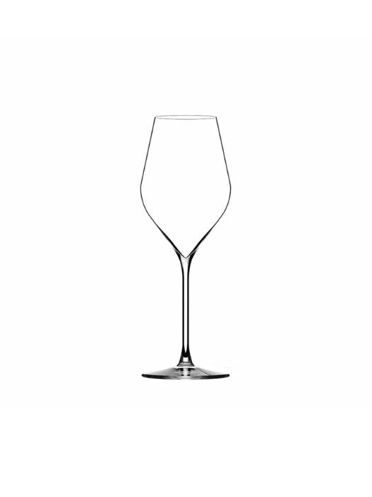 Absolus Champagne Glass (200 ml) - Lehmann