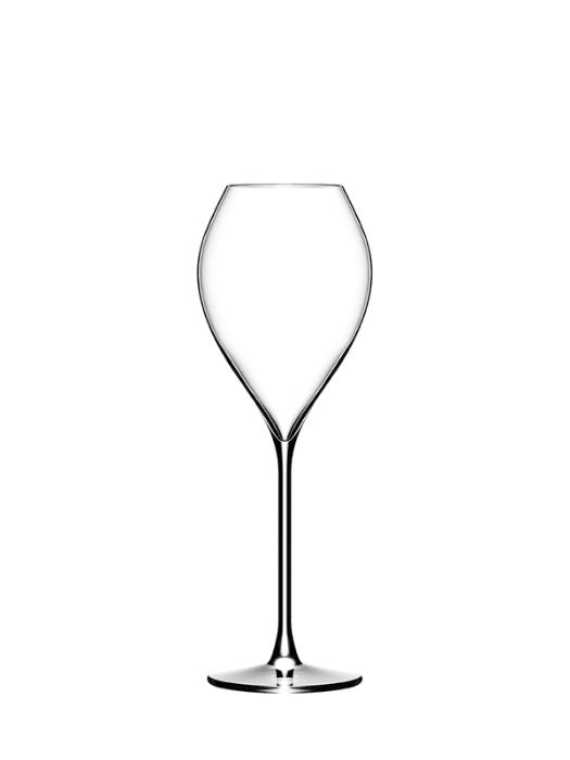 Verre à champagne Grand Champagne La Poétique - Collection Jamesse (250 ml) - LEHMANN