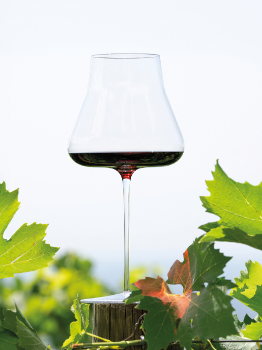 Red Wine Glass T-Made 76 AV Mouth-Blown - Italesse