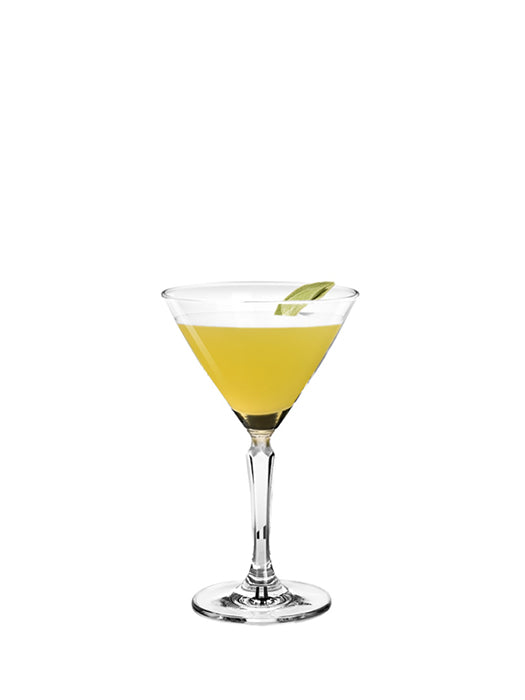 Martini Cocktail Glass 7.5 oz - Cuisivin