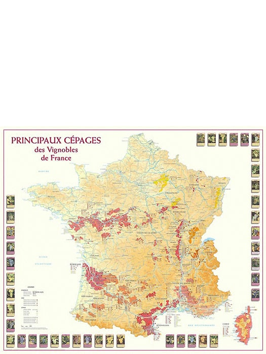 Carte principaux Cépages des Vignobles de France