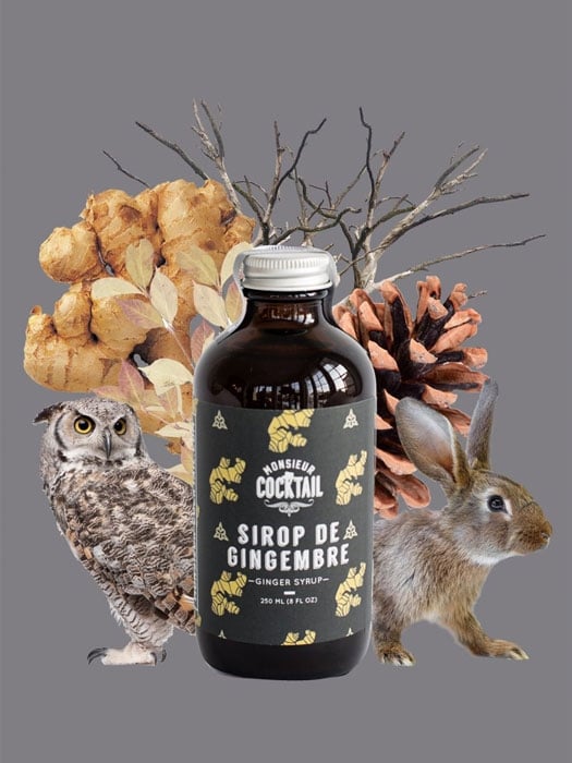 Ginger syrup - Monsieur Cocktail